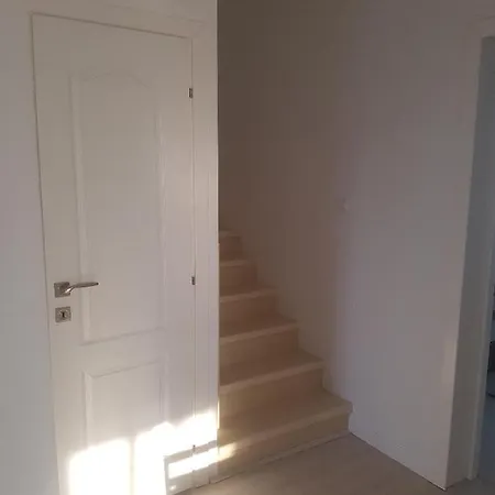 Apartament David Mamaia Nord Appartamento